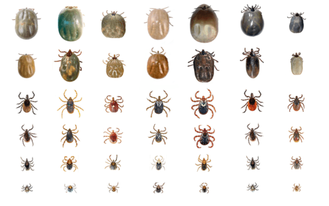 Screenshot 2018-03-16 23.13.01