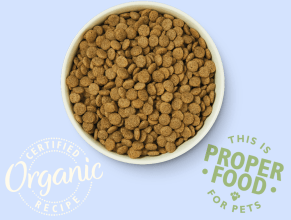 Lily's Kitchen Pui Organic